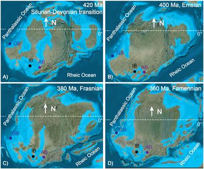 Devonian upper ocean redox trends across Laurussia: Testing potential influences of marine carbonate lithology on bulk rock I/Ca signals